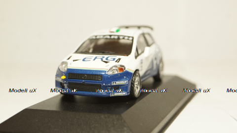 Fiat Punto S2000 Andreucci - Andreussi Rally 1000 Miglia 2006