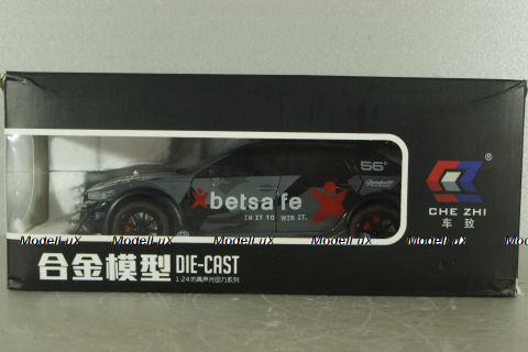 Audi RS6 Avant GT DTM Bet Safe Luggage Rack(C8) 2024, grey, 24932GR, CHE ZHI 1:24