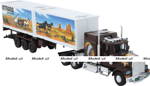 Сборная модель Western Star Intrans Container MS25, 0107-25, Monti System 1:48