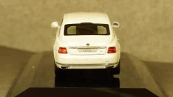 AURUS SENAT Limousine 2018, 412313, DiP Models 1:43