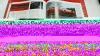 Книга Ferrari Legenden, легендарные Ferrari