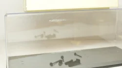 Бокс 26х10х10см, SSM