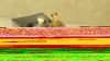 Mercedes Operazione Barbarossa Summer 1941 With Figures Hitler, Mussolini, UAN208, RIO 1:43