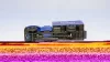 Зил 164 Кунг милиция, Herpa 1:87 