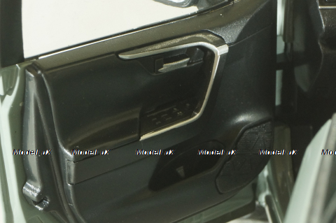 Toyota RAV4 2019, grey, RA801-B0, Paudi 1:18