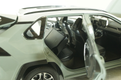 Toyota RAV4 2019, grey, RA801-B0, Paudi 1:18