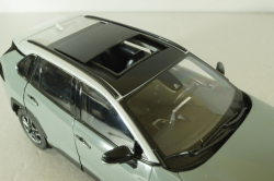 Toyota RAV4 2019, grey, RA801-B0, Paudi 1:18