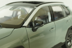 Toyota RAV4 2019, grey, RA801-B0, Paudi 1:18