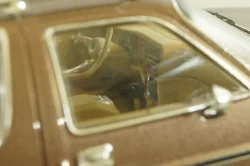 AMC Pacer X 1975, brown metallic, PRD137, Premium X 1:43