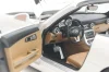 Mercedes SLS AMG Roadster R197 2009, white, 183491, Norev 1:18