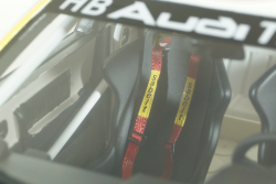 Audi 200 quattro Rallye 1987, OT439, OttO 1:18