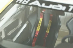 Audi 200 quattro Rallye 1987, OT439, OttO 1:18