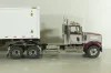 Western Star 4900 SF day cab with 40' dry goods sea container, red/white, 71064, Diecast Masters 1:50
