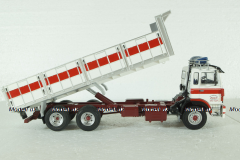 Renault DG290 Truck Cassone Ribaltabile Movimento Terra Megido Transports 3-Assi 1988, Camiones y Autobuses, Salvat 1:43