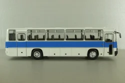 Икарус-256, Наши Автобусы №31