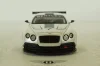 Bentley Contintal GT3, Mondial de l Automombile 2012, 134301, TSM 1:43
