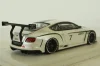 Bentley Contintal GT3, Mondial de l Automombile 2012, 134301, TSM 1:43