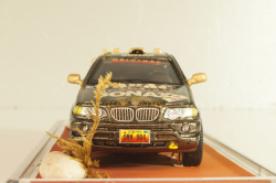 BMW X5 4.4i (E53) #200 "TABAC" Rally Paris-Dakar 1987, brown, Model43 1:43