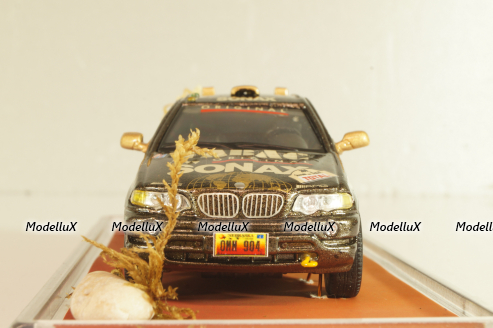 BMW X5 4.4i (E53) #200 "TABAC" Rally Paris-Dakar 1987, brown, Model43 1:43