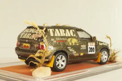 BMW X5 4.4i (E53) #200 "TABAC" Rally Paris-Dakar 1987, brown, Model43 1:43