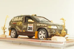 BMW X5 4.4i (E53) #200 "TABAC" Rally Paris-Dakar 1987, brown, Model43 1:43