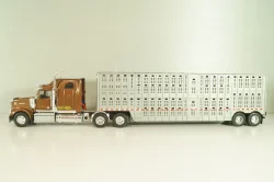 Western Star 4900 with semi-trailer 1990, brown/grey, American trucks, France №85, Altaya 1:43