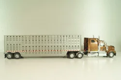 Western Star 4900 with semi-trailer 1990, brown/grey, American trucks, France №85, Altaya 1:43