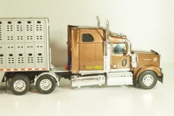 Western Star 4900 with semi-trailer 1990, brown/grey, American trucks, France №85, Altaya 1:43