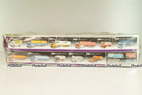 Сборная модель Western Star Intrans Container MS25, 0107-25, Monti System 1:48