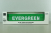40' dry goods sea container EVERGREEN, green, 91027A, Diecast Masters 1:50