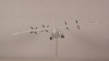 Ан-10А Antonov AN-10 Алма-Аты модель самолета, Herpa 1:200