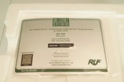 Porsche RUF SCR 2018, mint green, ALM880206, Almost Real 1:18