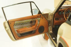 Porsche RUF Rodeo Prototype 2020, metallic gold, ALM880101, Almost Real 1:18