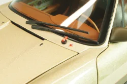 Porsche RUF Rodeo Prototype 2020, metallic gold, ALM880101, Almost Real 1:18