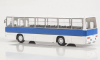 Икарус-260.51, бело-синий, Наши Автобусы №81, Modimio 1:43 
